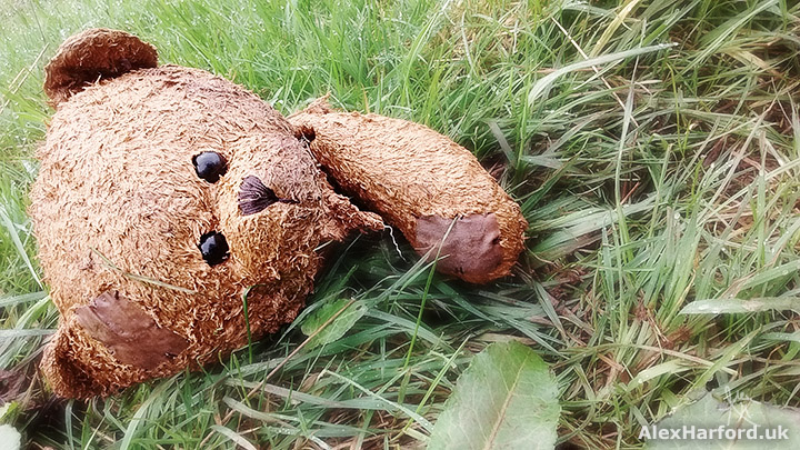 Brown one-armed teddy bear in field