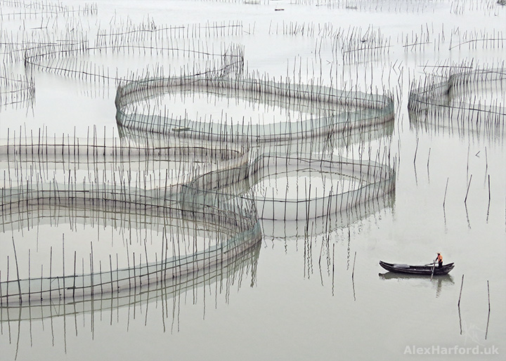 Fisherman and Crab Nets, near Fuding, China